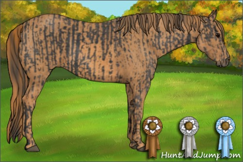 Horse Color: Black  Brindle