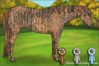Horse Color:Black  Brindle