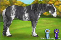 Horse Color:White Spotted Black