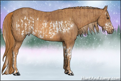 Horse Color: Chestnut Splash Frame  Brindle