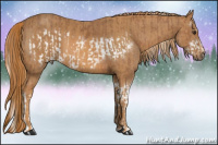 Horse Color:Chestnut Splash Frame  Brindle