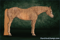 Horse Color:Chestnut Splash  Brindle