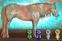 Horse Color:White Spotted Liver Chestnut Splash  Brindle