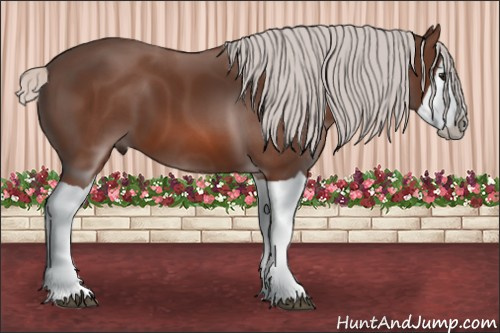 Horse Color: Silver Bay Splash 