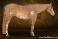 Horse Color:Chestnut Splash Frame  Brindle