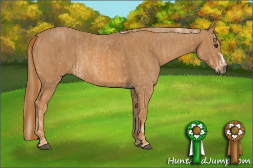 Horse Color: Chestnut Splash Frame  Brindle