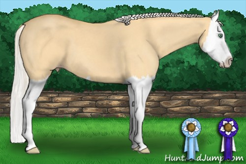 Horse Color: Silver Amber Cream Champagne Dun Splash 