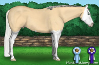 Horse Color:Silver Amber Cream Champagne Dun Splash 
