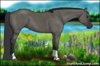 Horse Color:Grullo Tobiano 