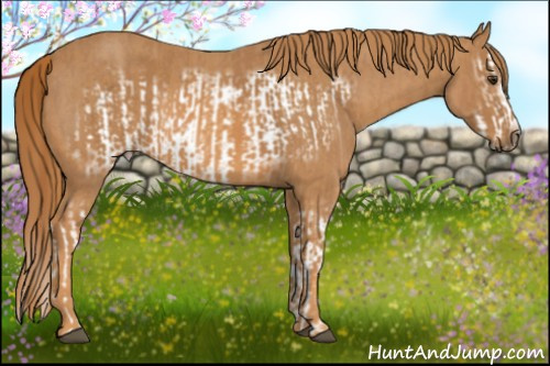 Horse Color: Chestnut Splash Frame  Brindle