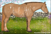 Horse Color:Chestnut Splash Frame  Brindle