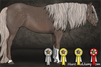 Horse Color:Silver Black Tobiano 
