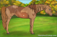 Horse Color:Chestnut Splash Frame Brindle