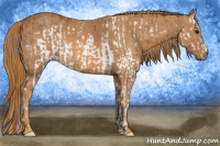 Horse Color:Bay Splash Frame Brindle