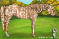 Horse Color:Palomino Dun Splash Frame  Brindle