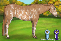 Horse Color:Bay Splash Frame Brindle
