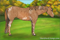 Horse Color:Bay Splash Tobiano Frame Brindle