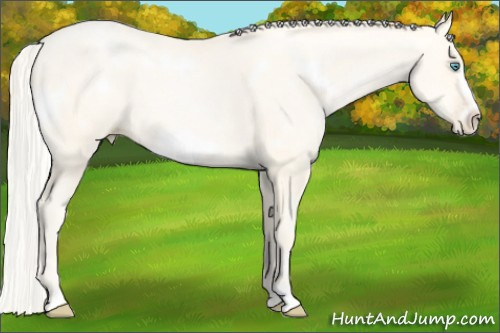 Horse Color: White Spotted Gold Cream Champagne Pearl Frame 