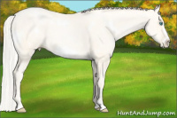 Horse Color:White Spotted Gold Cream Champagne Pearl Frame 
