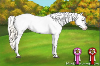 Horse Color:Palomino Splash Tobiano Appaloosa 