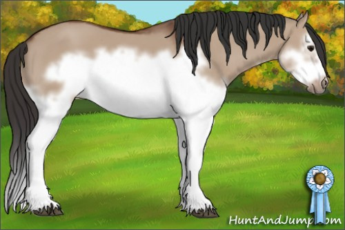 Horse Color: Bay Dun Splash Frame 