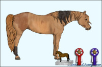 Horse Color:Bay Splash Frame  Brindle