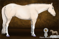 Horse Color:Gold Cream Champagne Pearl 
