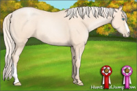 Horse Color:Gold Cream Champagne Pearl 