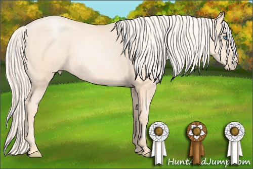 Horse Color: Gold Cream Champagne Pearl 