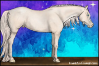 Horse Color:Gold Cream Champagne Pearl 