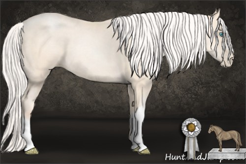 Horse Color: Silver Amber Cream Champagne Pearl 
