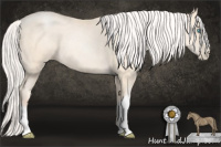 Horse Color:Silver Amber Cream Champagne Pearl 