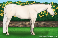 Horse Color:Silver Sable Cream Champagne Pearl 
