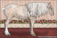 Horse Color:Silver Amber Champagne Pearl