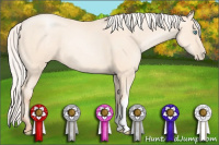 Horse Color:Silver Sable Cream Champagne Pearl 