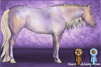 Horse Color:White Spotted Chocolate Palomino Pearl 