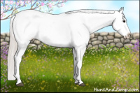Horse Color:Silver Brown Appaloosa