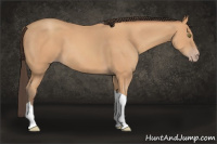 Horse Color:Amber Champagne Tobiano 
