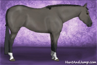 Horse Color:Grullo Tobiano 