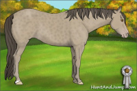 Horse Color:Classic Cream Champagne