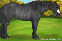 Horse Color:Brown Rabicano 