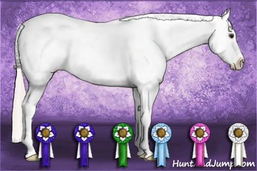 Horse Color: Silver Bay Tobiano Snowcap 