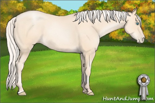 Horse Color: Silver Amber Cream Champagne Pearl 