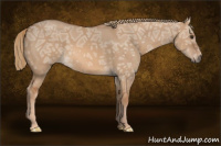 Horse Color:Red Dun Ice 