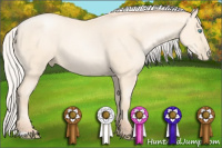 Horse Color:Silver Amber Cream Champagne Pearl 
