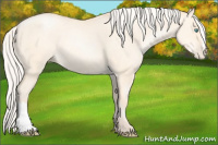 Horse Color:Silver Sable Cream Champagne Pearl Dun 