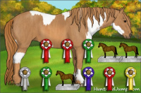 Horse Color:White Spotted Grullo Appaloosa Rabicano  Brindle