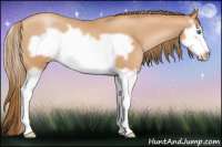 Horse Color:Bay Pearl Splash Frame 
