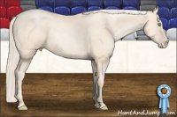 Horse Color:Gold Cream Champagne Pearl 