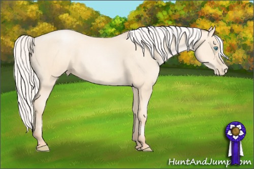 Horse Color: Silver Amber Cream Champagne Pearl 
